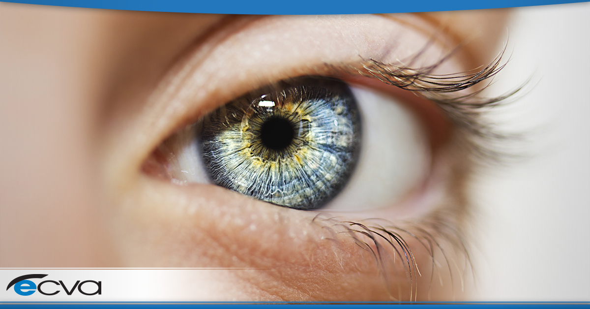 Is It True That Blue Eyes Are More Vulnerable to UV Damage?